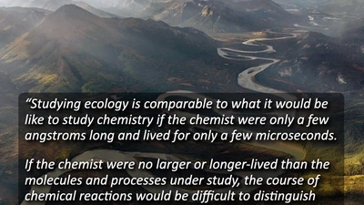 Ecology (BI370) featured image