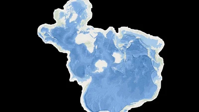 Marine Ecology (BI351) featured image