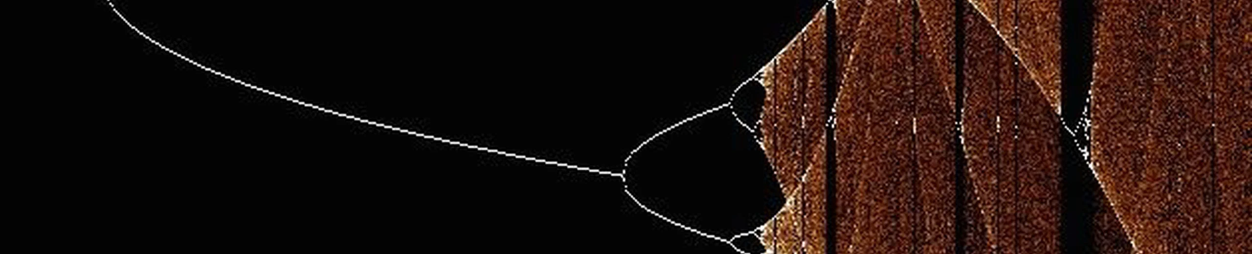 Theoretical Ecology (IB592)
