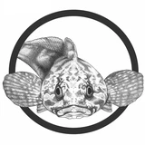 NovakLab