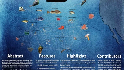 An Online Database for Informing Ecological Network Models: http://kelpforest.ucsc.edu featured image