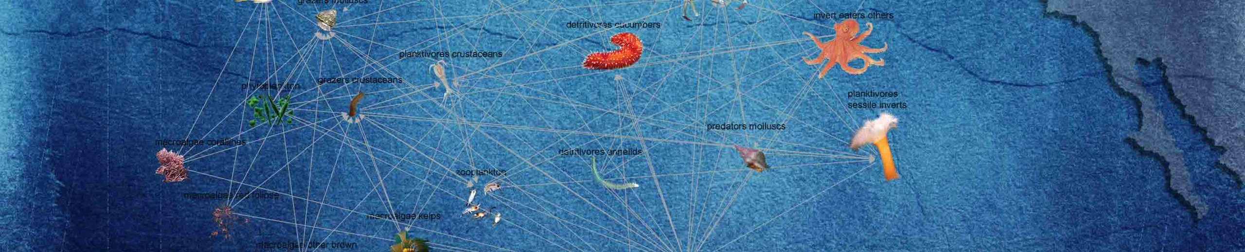 An Online Database for Informing Ecological Network Models: http://kelpforest.ucsc.edu