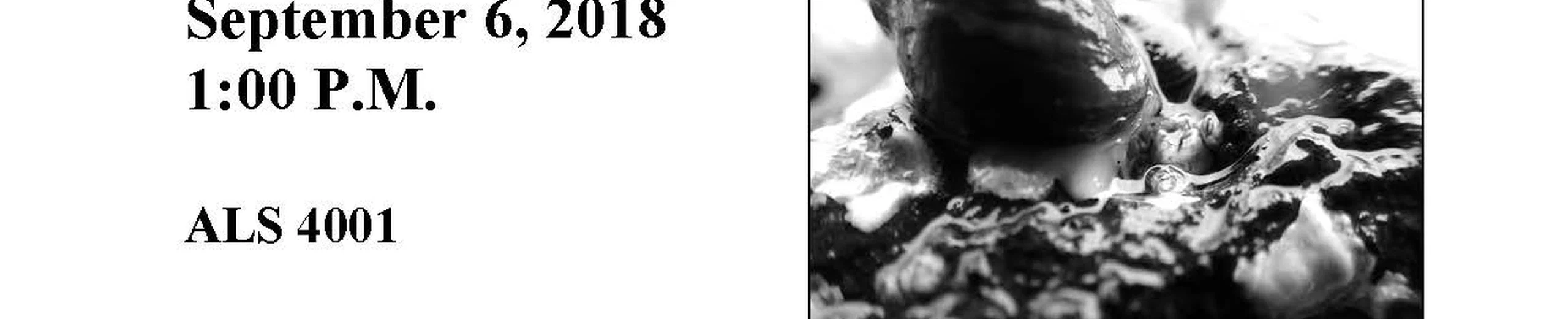 Candidate causes, consequences, and estimation of individual diet specialization