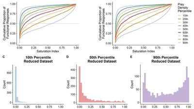 Predator feeding rates may often be unsaturated under typical prey densities featured image