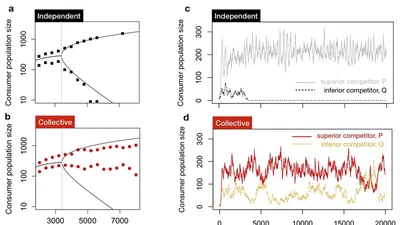 Collective behaviour can stabilize ecosystems featured image