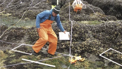 Long-Term Studies Contribute Disproportionately to Ecology and Policy featured image