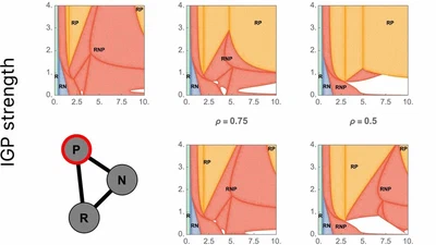 Effects of predator novelty on intraguild predation communities with adaptive prey defense featured image