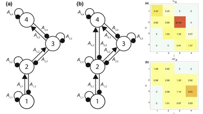 Exact probabilities for the indeterminacy of complex networks as perceived through press perturbations featured image