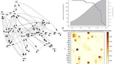 PressPurt - Network sensitivity to press perturbations under interaction uncertainty featured image