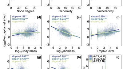 Body mass–biomass scaling modulates species keystone-ness to press perturbations featured image