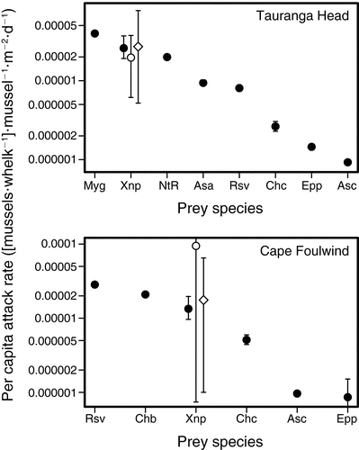 Estimating interaction strengths in nature: experimental support for an observational approach featured image