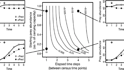 Using experimental indices to quantify the strength of species interactions featured image