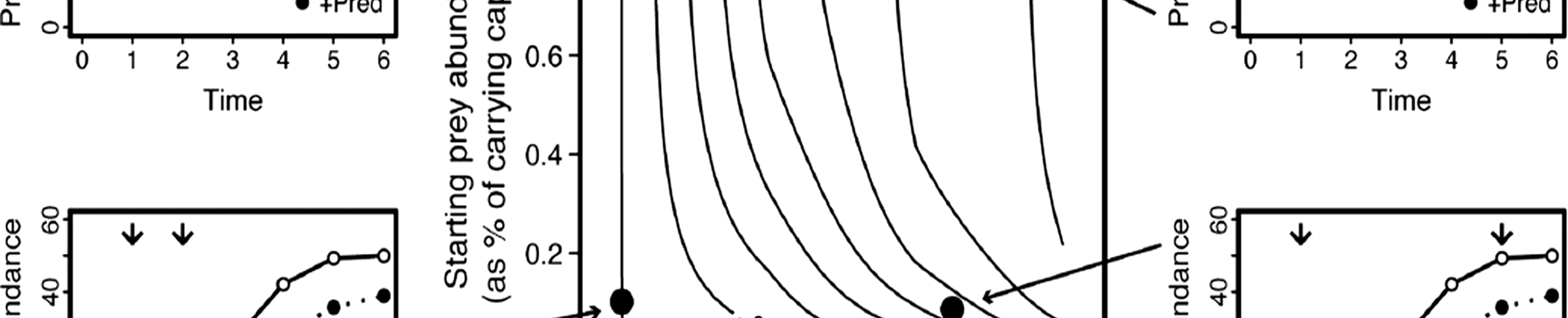 Using experimental indices to quantify the strength of species interactions