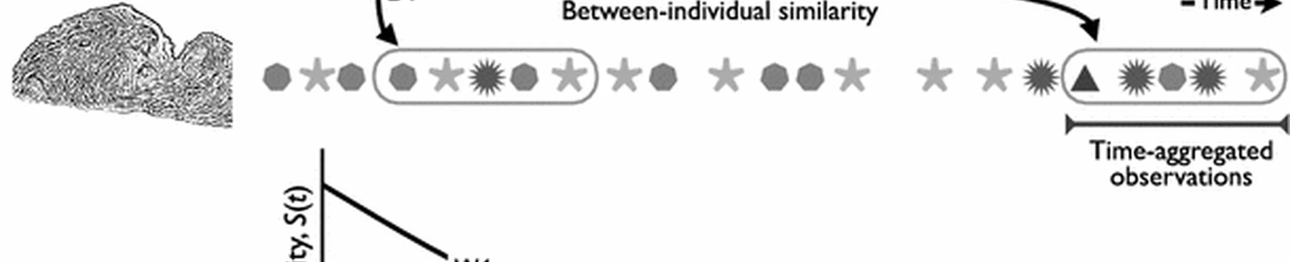 Timescales alter the inferred strength and temporal consistency of intraspecific diet specialization