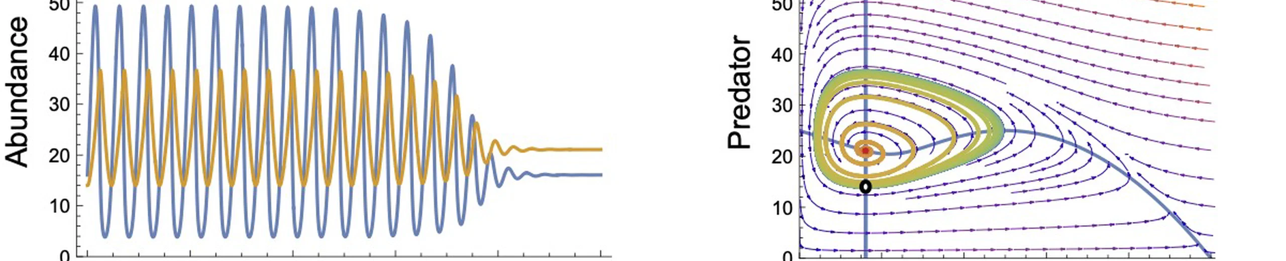 In defense of Type I functional responses: The frequency and population-dynamic effects of feeding on multiple prey at a time