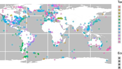 FracFeed: Global database of the fraction of feeding predators featured image