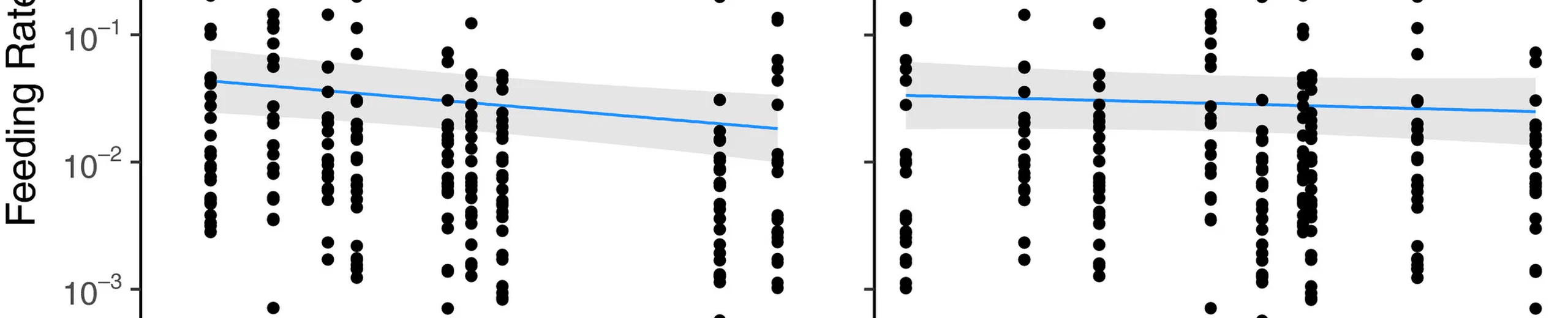 What drives interaction strengths in complex food webs? A test with feeding rates of a generalist stream predator