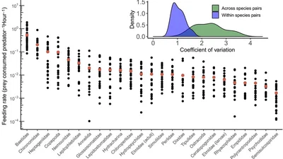 Food-web interaction strength distributions are conserved by greater variation between than within predator--prey pairs featured image