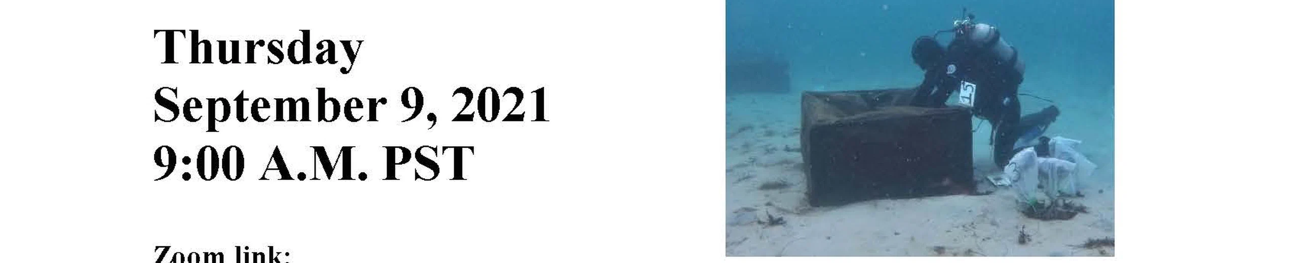 Grazer-resource behavior, interactions, and feedbacks control kelp-forest dynamics and stability