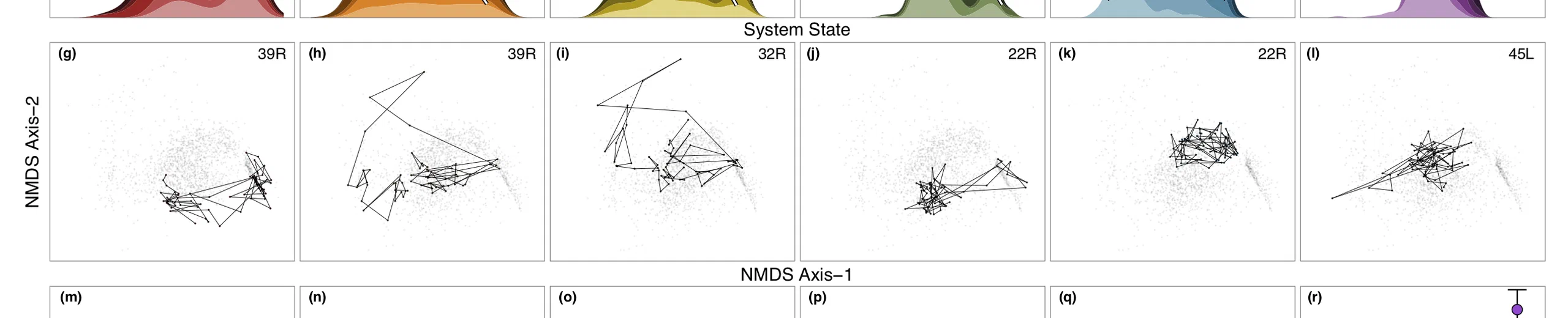 Kelp-forest dynamics controlled by substrate complexity