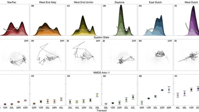 Kelp-forest dynamics controlled by substrate complexity featured image
