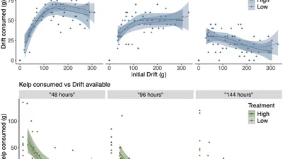 Sea urchin consumption of kelp controlled by the density of drift algae featured image