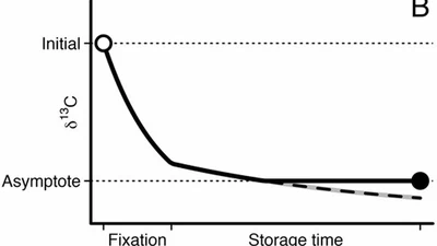 The effects of formalin fixation and fluid storage on stable isotopes in rodent hair featured image