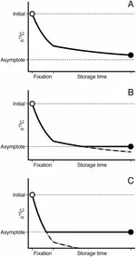 The effects of formalin fixation and fluid storage on stable isotopes in rodent hair