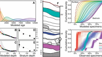 Where does the time go?: Mixing and the depth-dependent distribution of fossil ages featured image