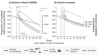 Models reveal potential synergies in management actions for bull kelp forest resilience and restoration featured image
