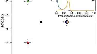 Merging Resource Availability with Isotope Mixing Models: The Role of Neutral Interaction Assumptions featured image