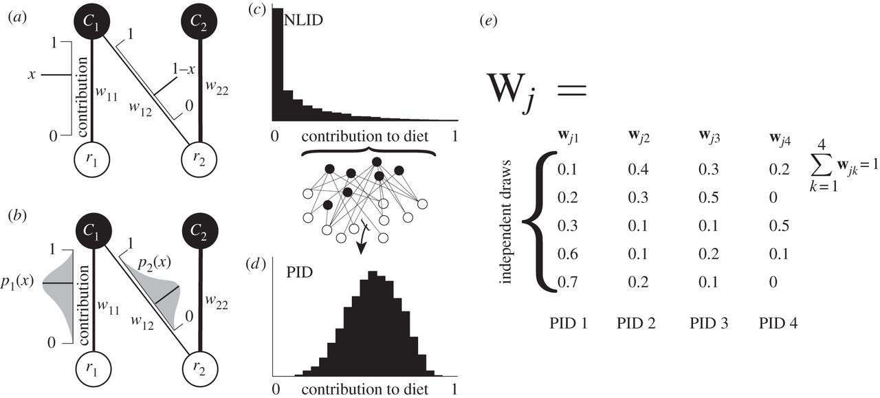 probabilistic-patterns-of-interaction-the-effects-of-link-strength